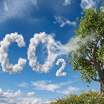 A large green tree standing in a grassy field with clouds shaped like the letters CO2 oating in a blue sky