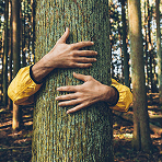 A person wearing a yellow jacket wrapping their arms around a large tree trunk in a dense green forest