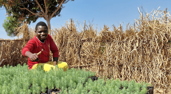 A Ripple Africa farmer in Malawi smiling beside trays of tree seedlings planted for the Nike corporate event
