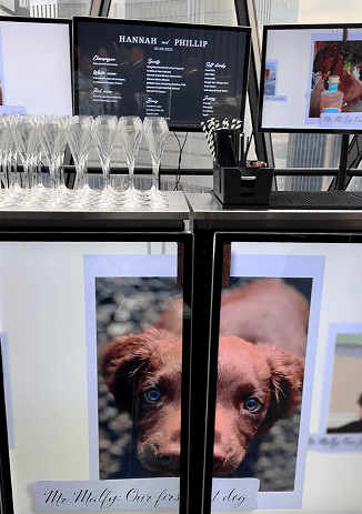 A close up of a digital wedding bar displaying a drinks menu and a photo of a brown dog with rows of empty champagne flutes on the counter
