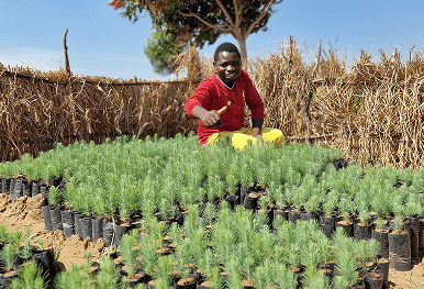 Reforestation nursery planting and protecting trees with local farming communities